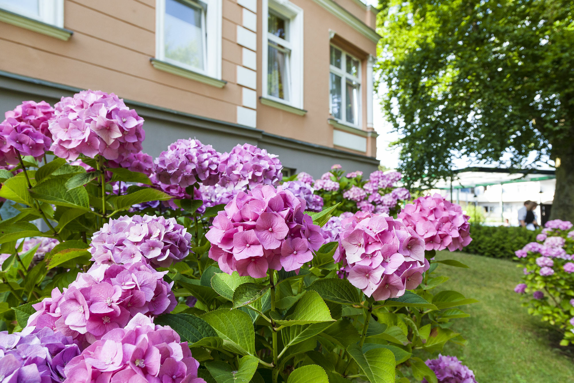 Ostseehotel Villen Im Park - Ein Rovell Hotel 塞巴特黑灵斯多夫 外观 照片